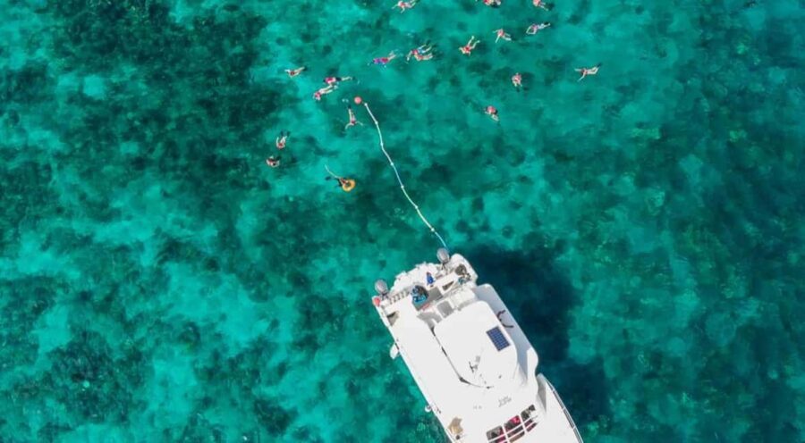 Catalina Island Full-Day Snorkeling + Lunch from Punta Cana - Open Bar and Lunch: The “Don’t Think Too Much” Part