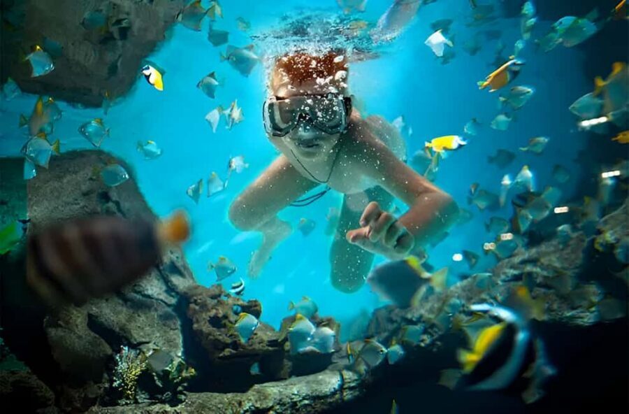 Catalina Island Full-Day Snorkeling + Lunch from Punta Cana - Getting Picked Up and Why the Morning Can Feel Messy