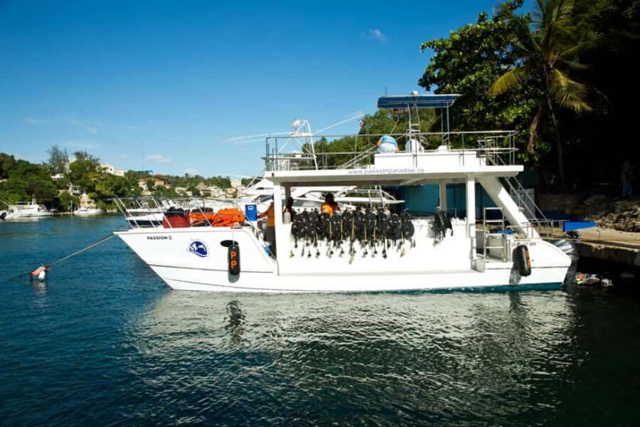 Catalina Island Scuba Diving Tour from Punta Cana - Two Catalina Island sites: how The Wall and The Aquarium differ