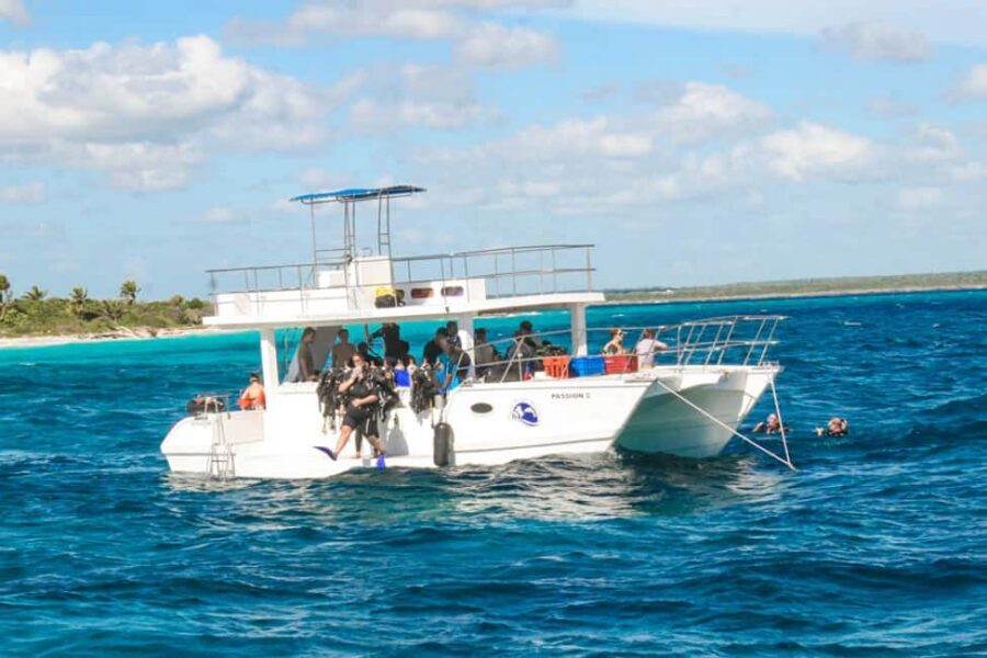 Catalina Island Scuba Diving Tour from Punta Cana - Between the two water sessions: BBQ lunch on Catalina’s private beach