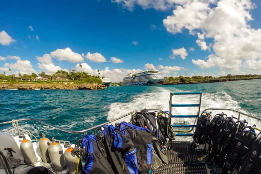 Catalina Island Scuba Diving Tour from Punta Cana - Safety, instruction, and gear: what to watch before you get in the water