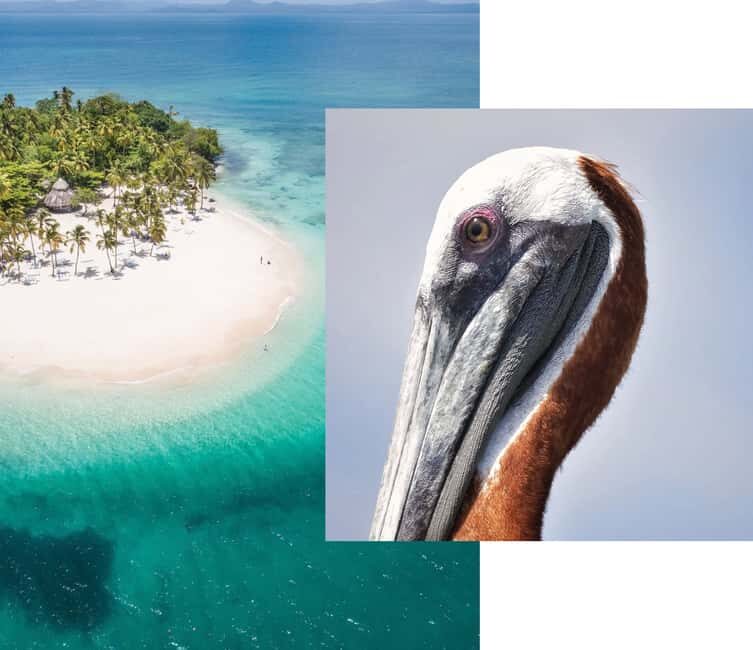 Catalina Island snorkeling Dominican Republic - Snorkel The Wall and the Cotubanama reef: what you’re actually signing up for