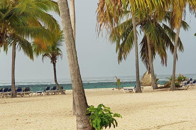 Catalina Island Snorkeling: Explore its Crystal Clear Waters - The 7:00 am rhythm: getting from Punta Cana to La Romana
