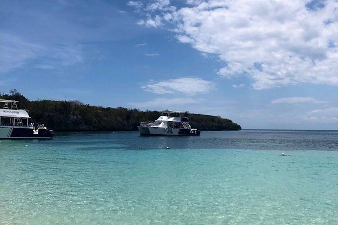 Catalina Island Snorkeling: Explore its Crystal Clear Waters - Price check: is $71.25 worth it in real-life terms?