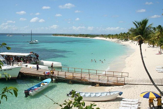Catalina Island Snorkeling: Explore its Crystal Clear Waters - Reef time at La Romana: what your 45 minutes is really for