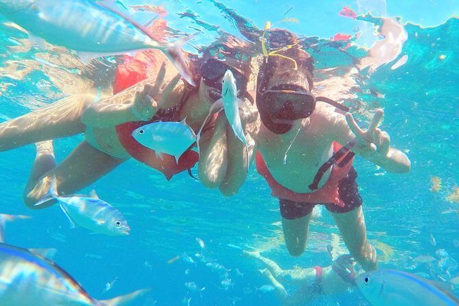 Catalina Island & Snorkeling Tour - Aquarium water option: second chance to see marine life