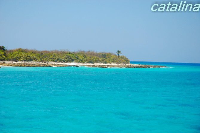 Catalina Island & Snorkeling Tour - The Wall snorkeling: the main reason to book