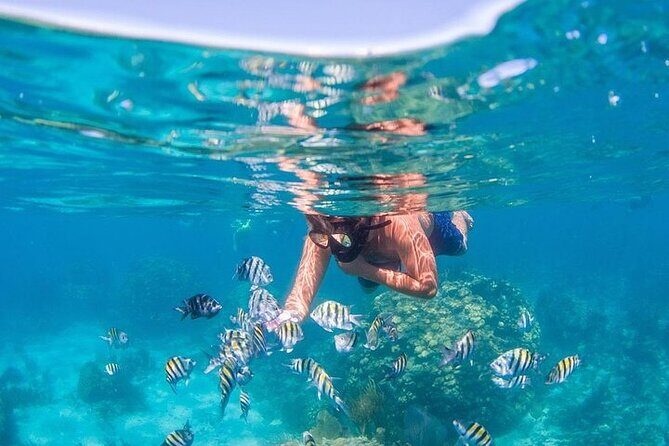 Catalina Island & Snorkling Tour Full Day All Inclusive - Punta Cana to Isla Catalina: the pace and the catamaran ride