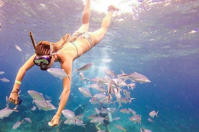 Catalina Island & Snorkling Tour Full Day All Inclusive - The PADI safety briefing: your best friend if you’re new to snorkeling