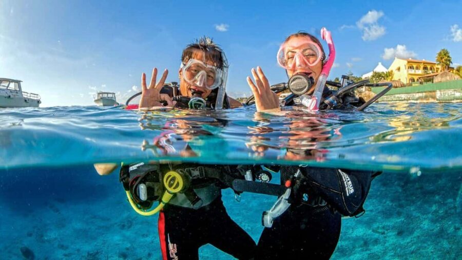Catalina Island Tour with Snorkelling and Lunch - Catalina, Coral Reef, and a Full Day by the Sea