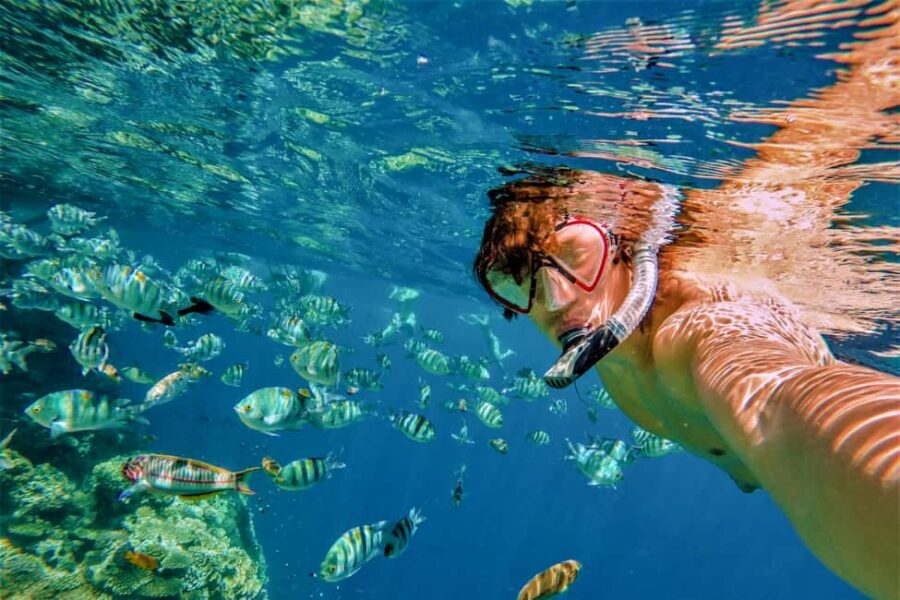 Catalina Island Tour with Snorkelling and Lunch - Who This Tour Fits Best (and Who Might Prefer Another Plan)