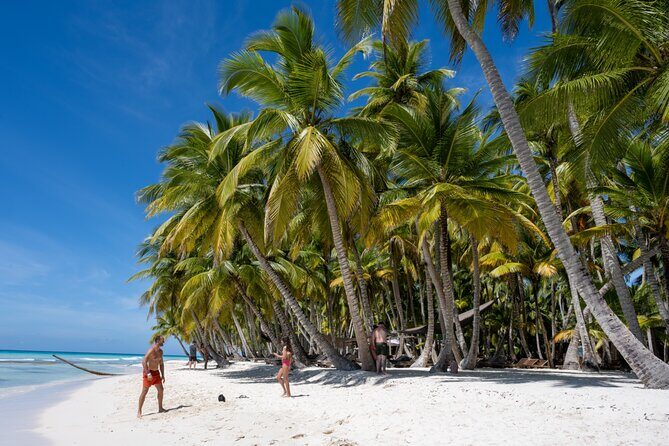 Catalina Sailing Experience in Punta Cana with Food and Drinks - Isla Saona: White Sand, Warm Water, and the Best Part of the Day