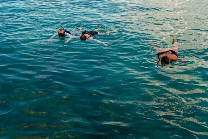 Catalina Sailing Experience in Punta Cana with Food and Drinks - Value Check: Is $89 Worth It for This Kind of Day?