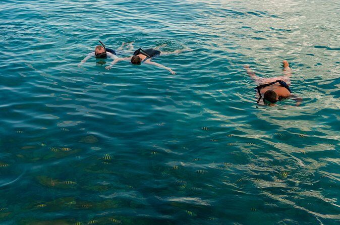 Catalina Sailing Experience in Punta Cana with Food and Drinks - Who This Tour Fits Best (and Who Might Find It Annoying)