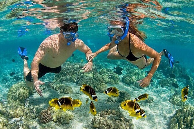 Catamaran Party in Punta Cana Includes Drink and Transportation - Punta de los Nidos Stop: Slide, Splash, and Natural Pools Photos