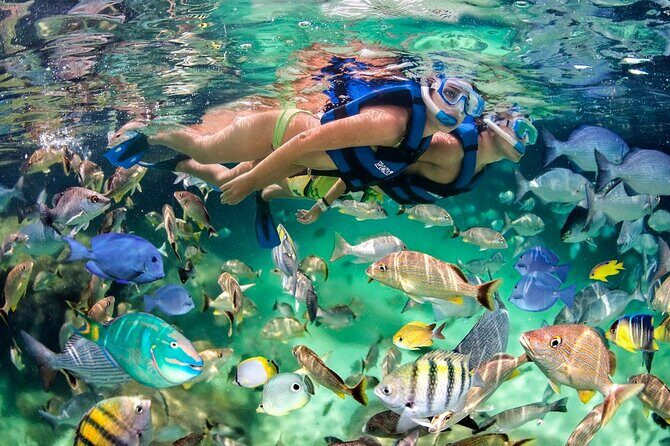 Catamaran party in Punta Cana with open bar, music and more - A Punta Cana Catamaran Party That Actually Fills Your Time