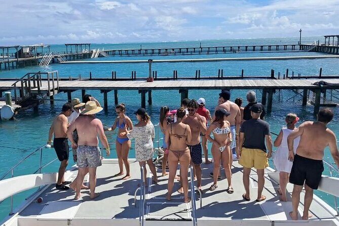 Catamaran party in Punta Cana with open bar, music and more - Stop 2 at Arrecife de Coral: 30 Minutes of Snorkeling Marine Life