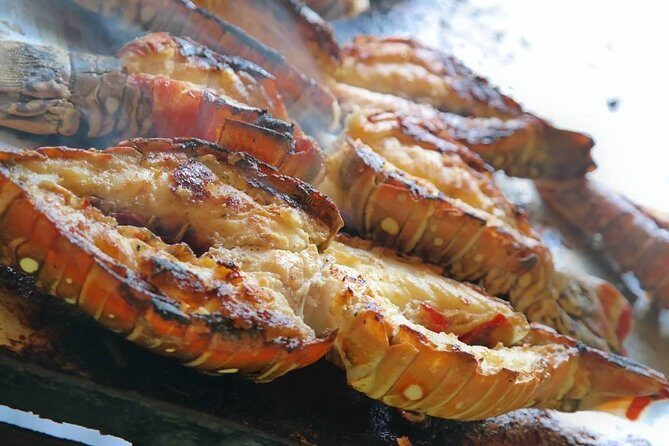 Cayo Arena Catamaran Cruise from Puerto Plata with Lunch - Lunch with lobster (or paella): how to plan your meal expectations