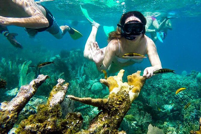 Cayo Arena Day Trip from Puerto Plata - Snorkeling and swimming: how to get the most water time