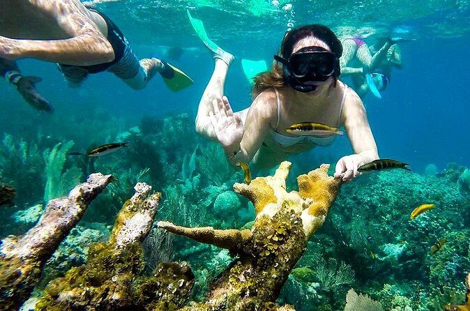 Cayo Arena Day Trip from Puerto Plata - The guide factor: getting context while you relax