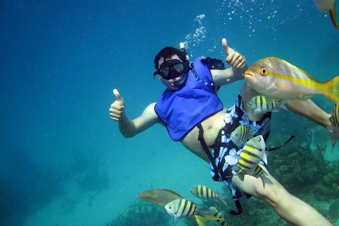 Cayo Arena Exclusive Tour with Lunch - Paradise Island’s afternoon water time: snorkeling that’s planned, not random