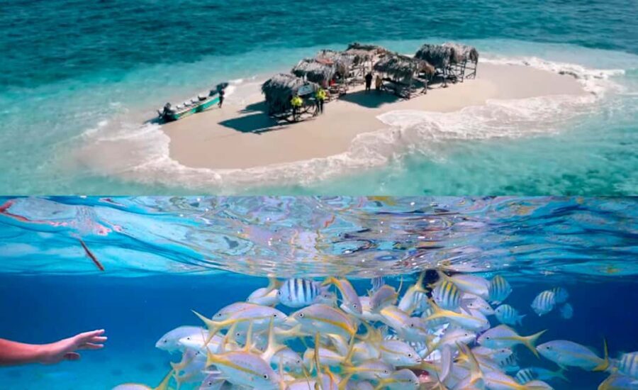 Cayo Arena: Paradise Island & Magroves Tour Private - Why This Tour Works: Two Coast Worlds in One Day