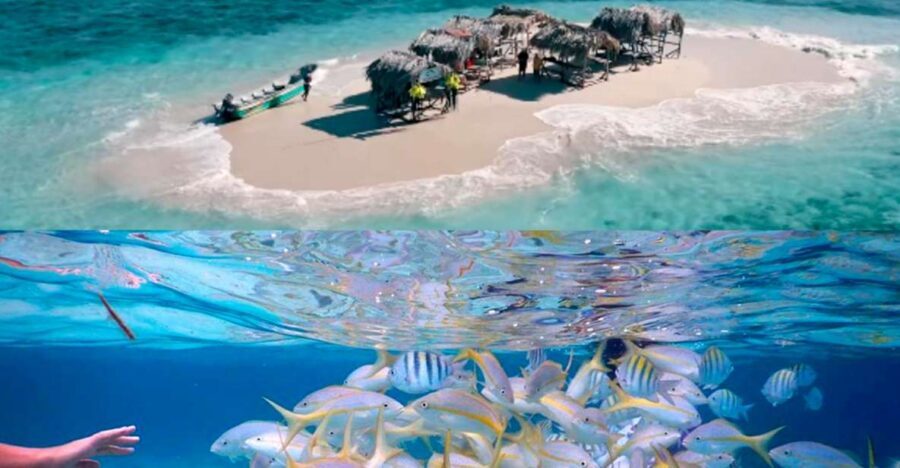 Cayo Arena: Paradise Island & Magroves Tour Private - Monte Cristi National Park Mangroves: A Different Kind of Nature Cruise