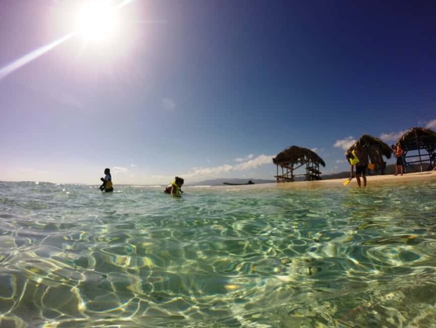 Cayo Arena: Paradise Island & Magroves Tour Private - Price and Value: Is $65 a Good Deal?