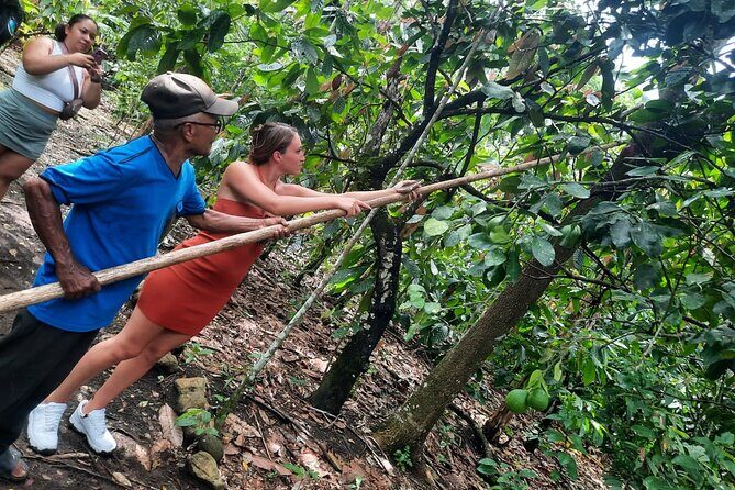 Cocoa & Artisan Chocolate Route with an Historical Tour in Puerto Plata City - Key Highlights You’ll Actually Care About
