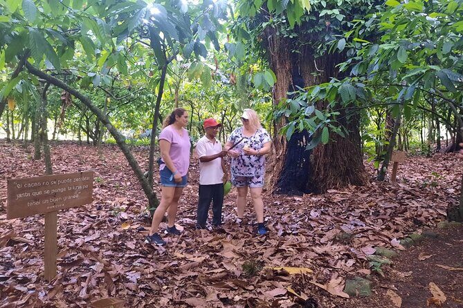 Cocoa & Artisan Chocolate Route with an Historical Tour in Puerto Plata City - The Chocolate Facial Therapy: When Cocoa Isn’t Just for Eating