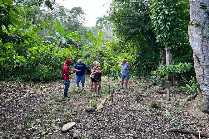Cocoa & Artisan Chocolate Route with an Historical Tour in Puerto Plata City - How Private Guide Time Works (and When You Should Stay Flexible)