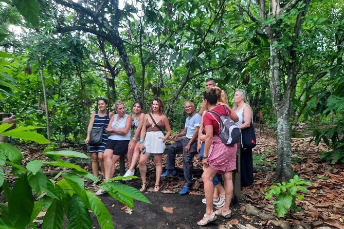 Cocoa & Artisan Chocolate Route with an Historical Tour in Puerto Plata City - Inside Hacienda Cufa: How Cocoa Gets From Plant to Chocolate