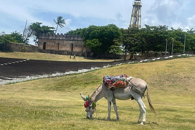 Combo : ATV Adventure with City Tour in Puerto Plata - ATV Countryside Ride Before the Heat Hits