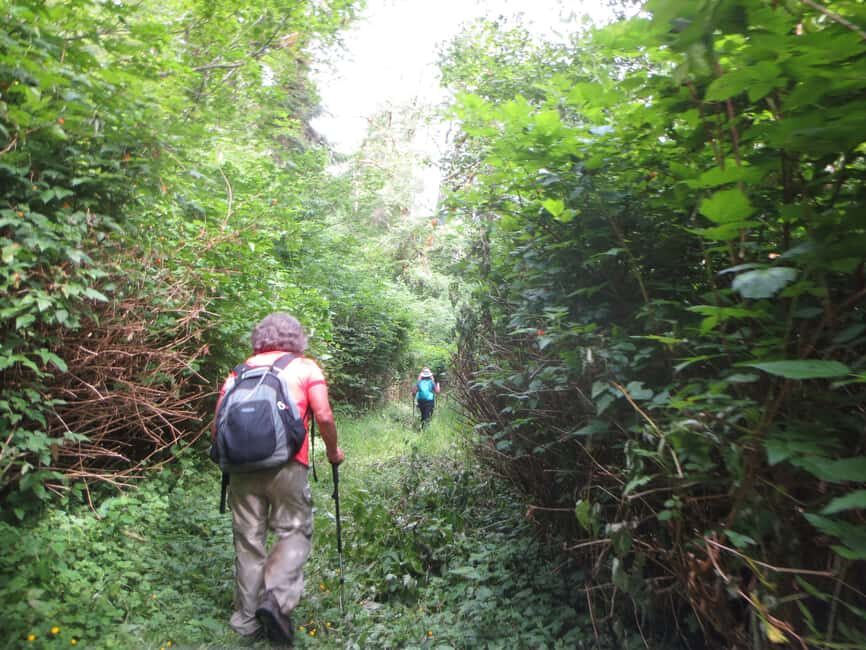 Damajagua: 27 Waterfalls Tour with Entrance Fee & Lunch - Key Highlights You’ll Feel in Real Life