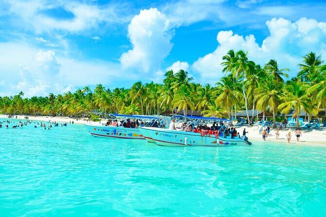 Day Trip to Saona Island with Lunch and Open Bar - Key points before you go