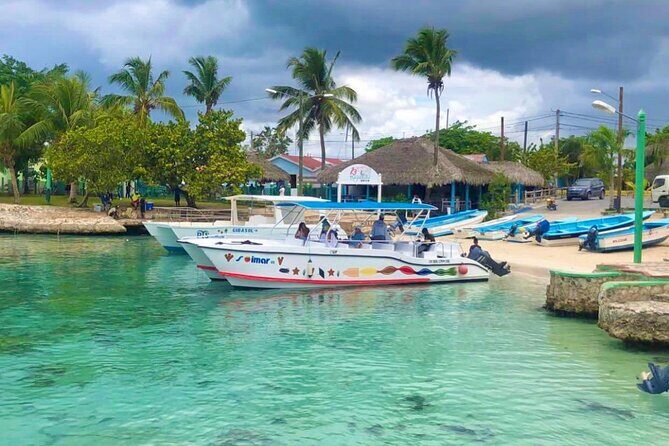 Day Trip to Saona Island with Lunch and Open Bar - The 10-hour flow: pickup, multiple rides, and real time on the island