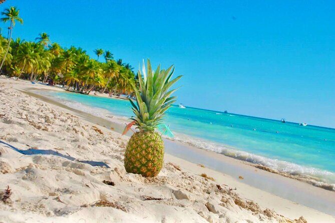 Day Trip to Saona Island with Lunch and Open Bar - The open bar reality: rum and soda are included, beer usually costs extra