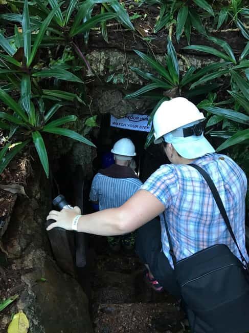 Deep Caves in Cabarete with Guided Tour and Swimming - Botanical Garden first: a smart warm-up before the cave water