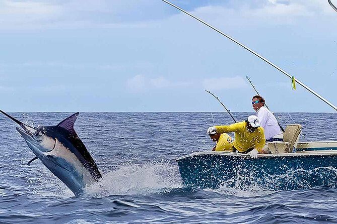 Deep Sea Fishing Half Day - Steffy Tours and the captain’s hot-spots plan