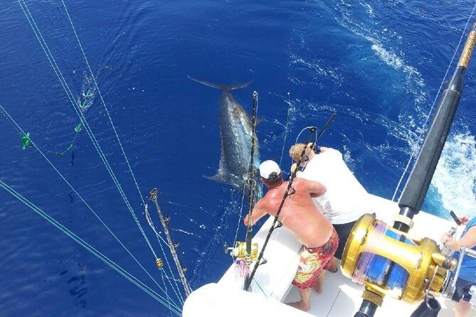 Deep Sea Fishing Tour - Key things that make this fishing trip worth your time