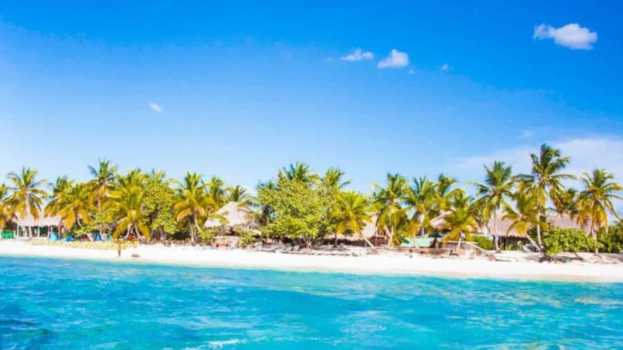 Discover Punta Cana: Full-Day Saona Island All Included - Saona Island from Punta Cana: what you’re really buying for $130