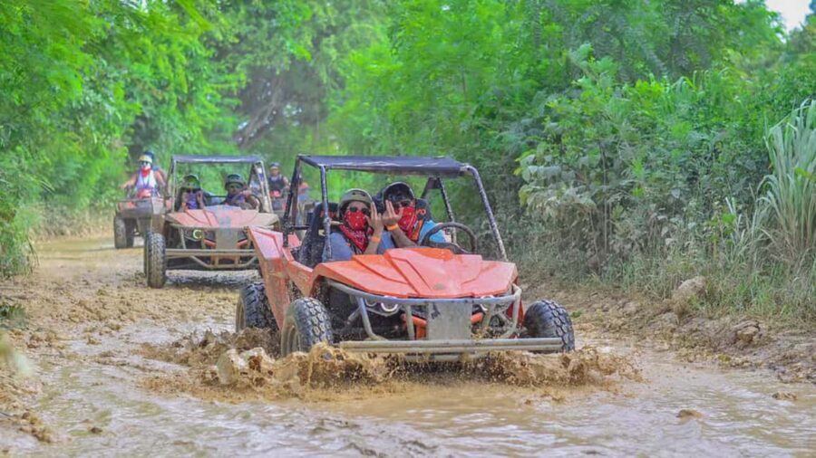 Discover Punta Cana Tour Buggy & ATV Tour Macao Beach Cenote - Quick hits before you go
