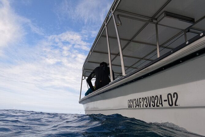 Discover Sosua's Underwater World & Beach Day - Stop 1: Three Rocks Reef for Fish-Focused Snorkeling