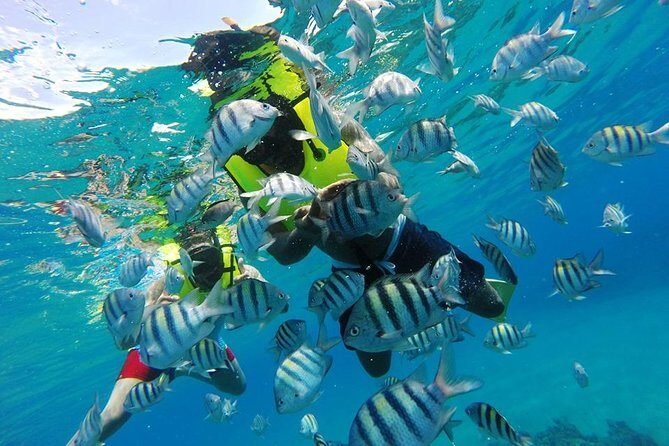 Discover Sosua's Underwater World & Beach Day - Sosua Beach After Snorkeling: Sun Chair Time Plus Real Local Life