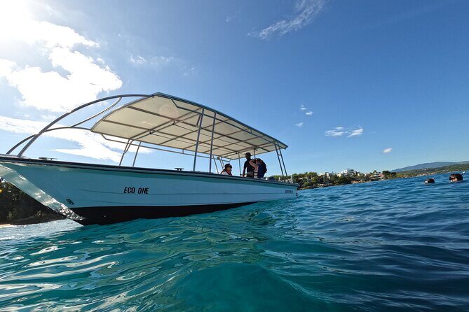 Discover Sosua's Underwater World & Beach Day - Included vs Not Included: What You Really Pay For