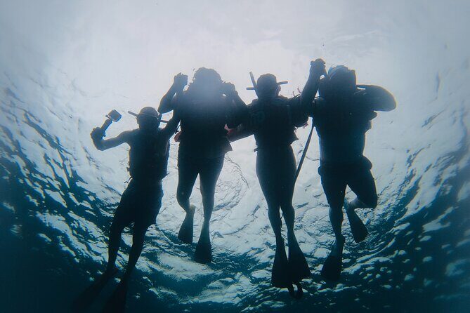 Discover Sosua's Underwater World & Beach Day - Who Should Book This (and Who Might Want a Different Option)