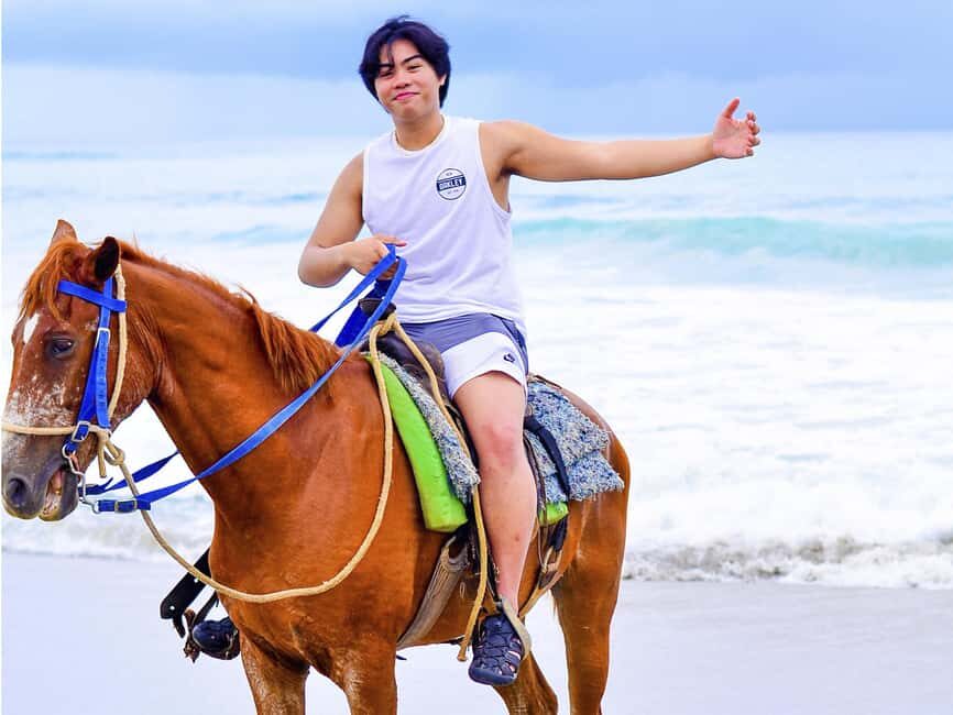 Discover the Trails of Punta Cana on a Horseback Ride - Price and value: Is $40 a good deal?