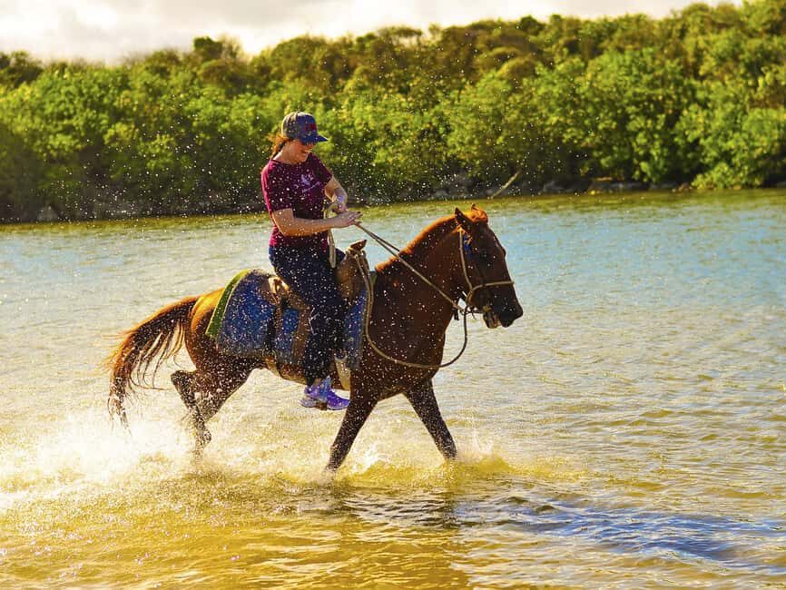 Discover the Trails of Punta Cana on a Horseback Ride - FAQ