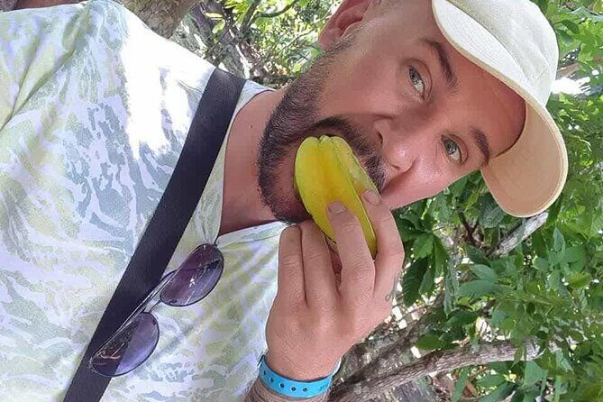 Discovery DE the real Dominican Republic EN small committee. - Anamuya plantation in the hills: coffee and cocoa from plant to tasting