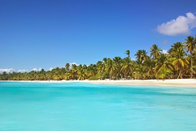 Discovery Package Saona Island & Buggies From Punta Cana - Getting from Punta Cana to Saona: the transfer is half the story